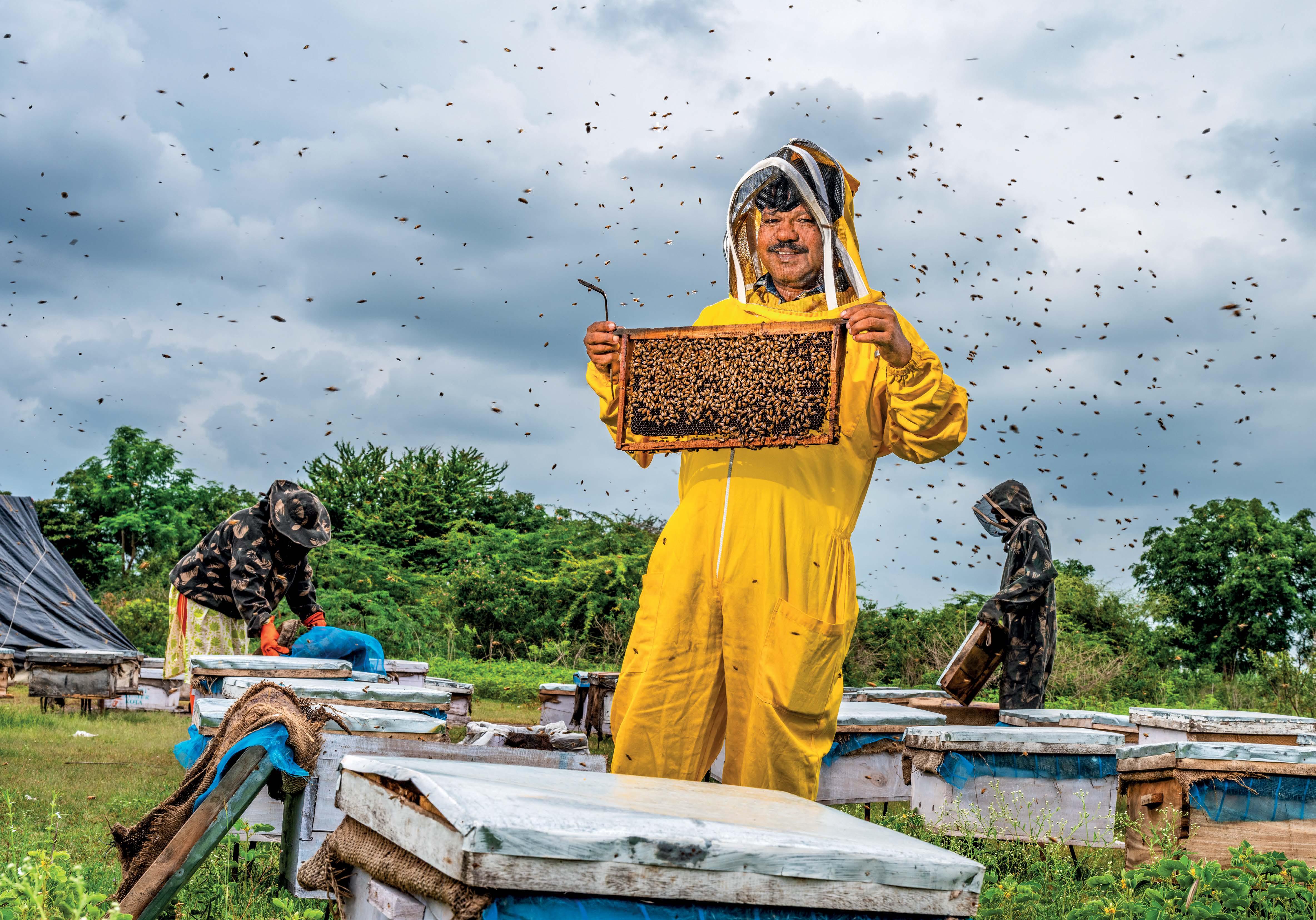 THE BUSY BEEKEEPER